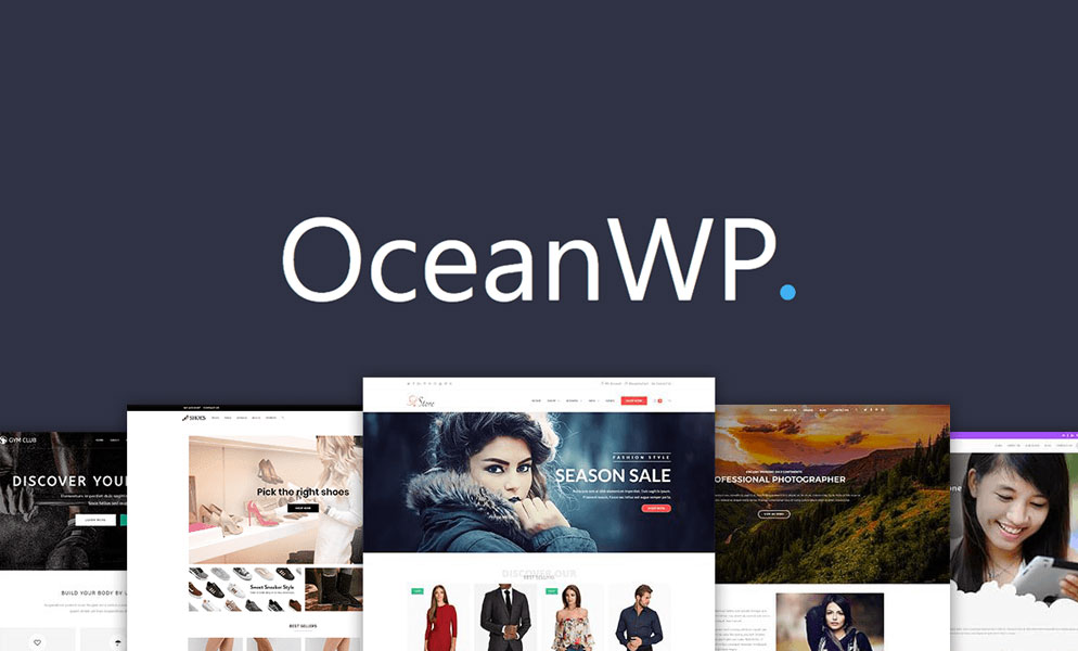 Las 10 Mejores Plantillas Gratuitas de WordPress para el 2025: Una Comparativa 3 theme oceanwp